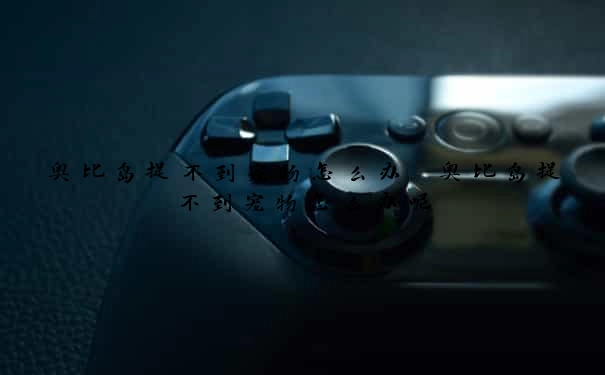 奥比岛捉不到宠物怎么办　奥比岛捉不到宠物怎么办呢