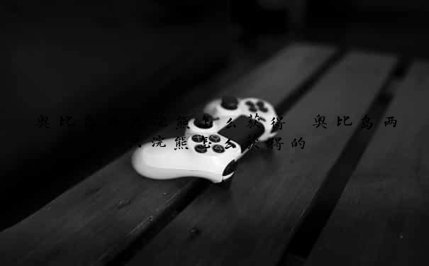 奥比岛两只浣熊怎么获得　奥比岛两只浣熊怎么获得的